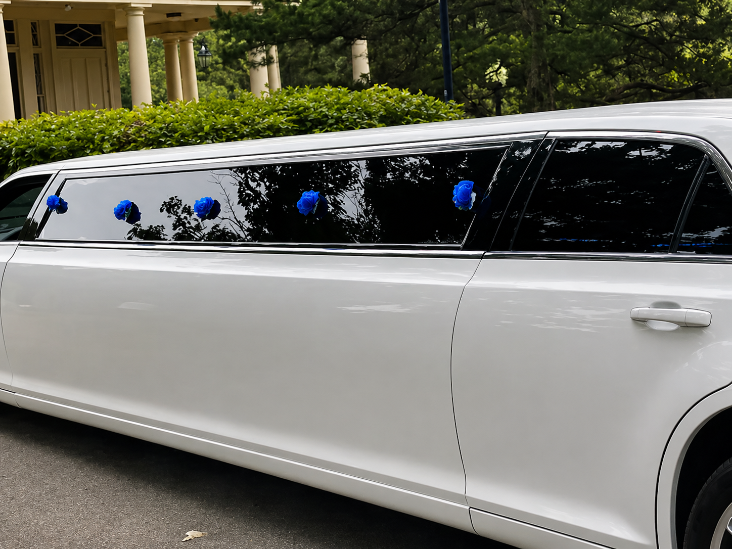 Chauffeur Everywhere Worldwide Ground Transportation — Transportation work, photo 5 of 6
