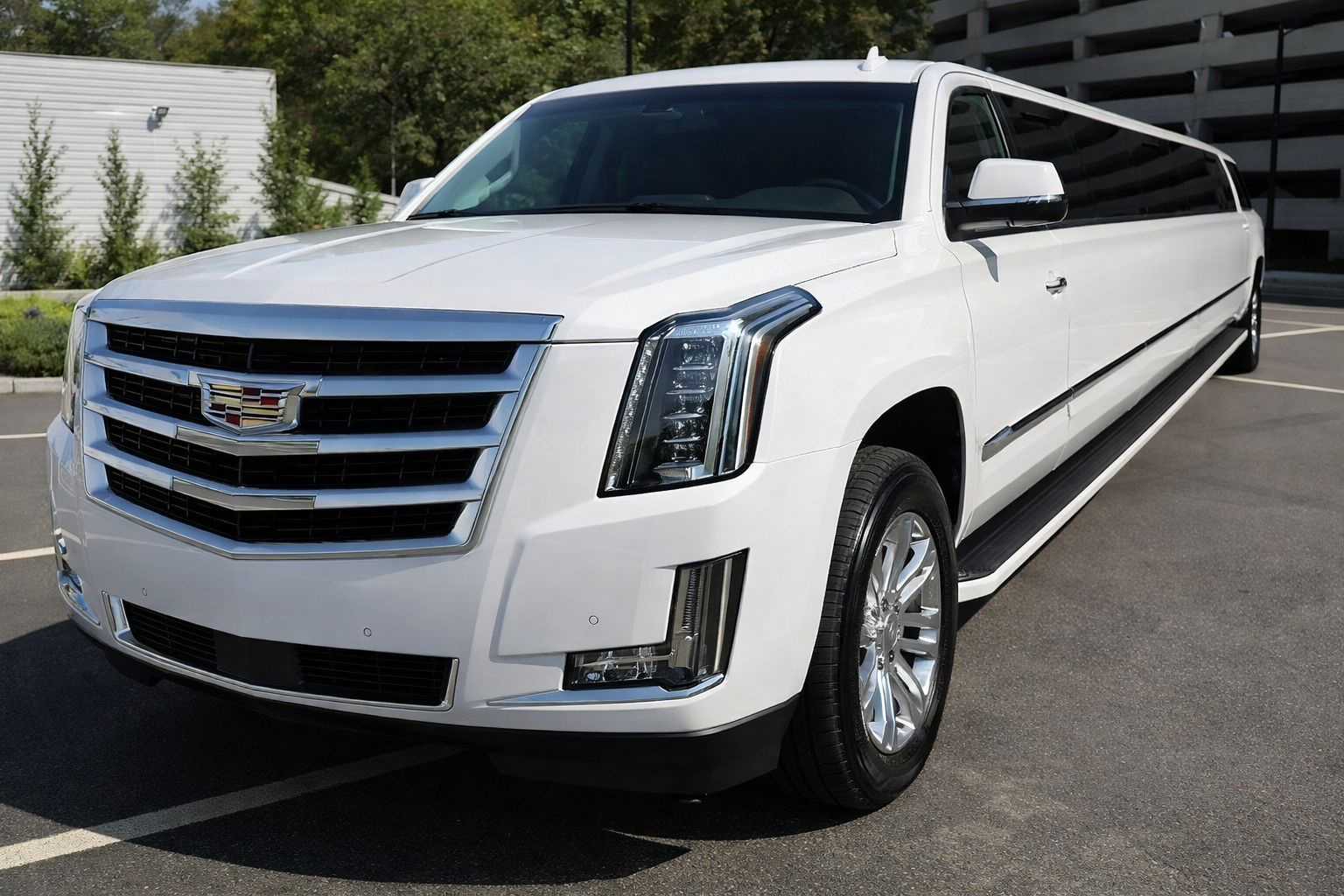 Texas Limo And Car Service — Transportation work, photo 4 of 6