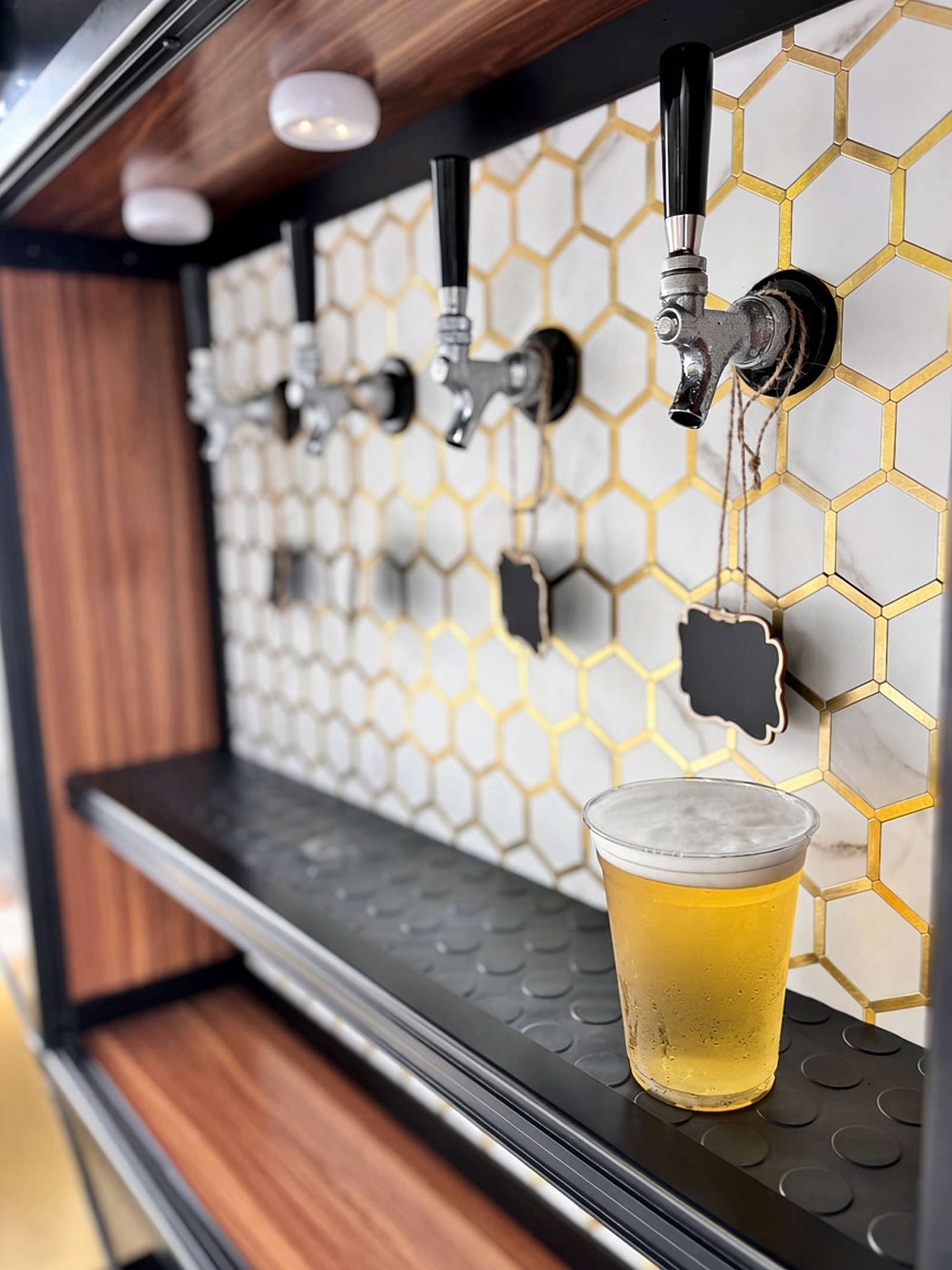 Sunshine and Sips on Tap — Rentals work, photo 6 of 6