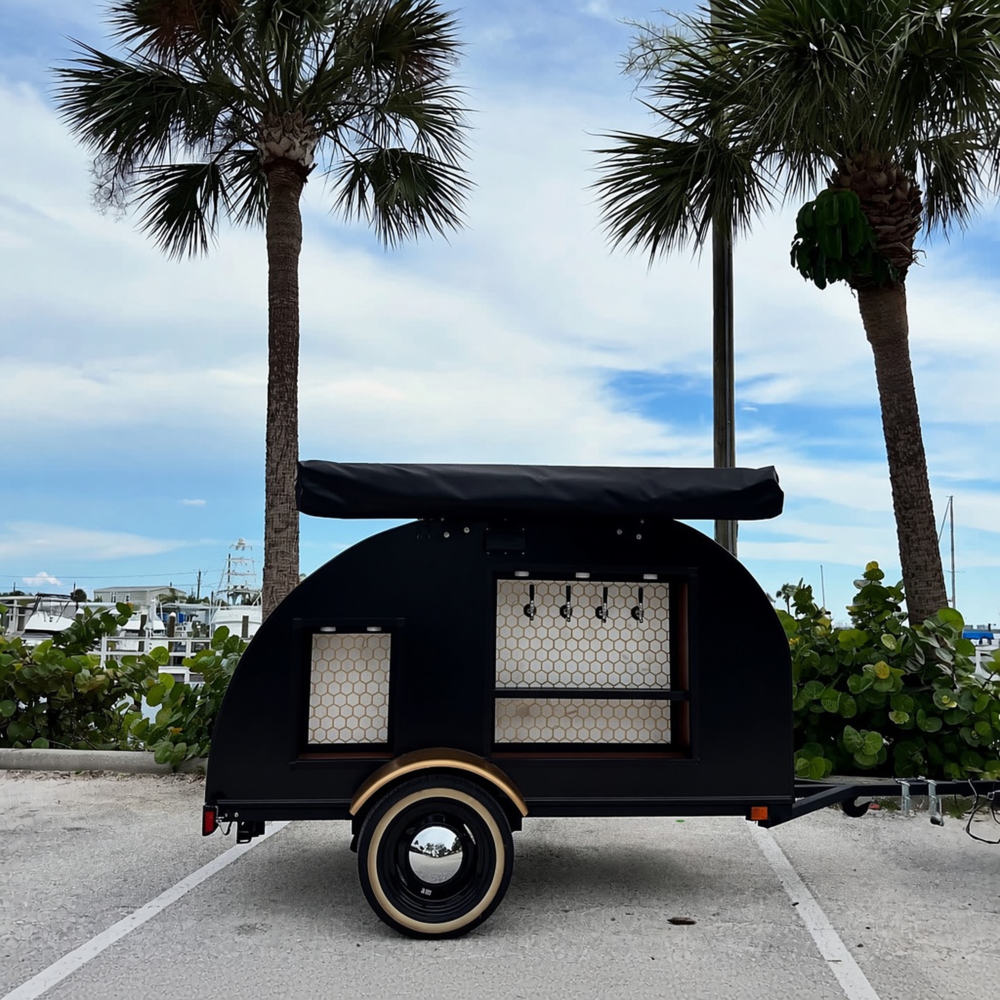 Sunshine and Sips on Tap — Rentals work, photo 1 of 6